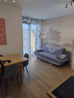 Vis a Vis Comfort by LookAp GARAŻ, SAUNA, JAZZUZI, BASEN SEZONOWY - Łódź - 8