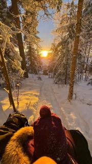 Arctic Holiday Home Private Yard, Sauna & Sledding Hill - 5