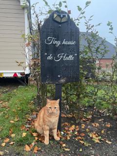 Op zoek naar een leuke overnachting Te huur Prachtig Tiny House De Hutte - 9