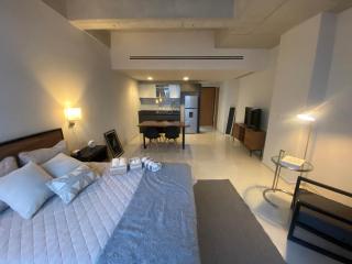 Loft en Paseo Santa Lucia y Parque Fundidora - 3