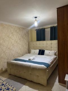 Elegant 2Bedroom Escape in Mirema Drive Nairobi - 1