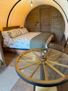 The Wanderer Conestoga Covered Wagon at Cherrywood Farm - 0