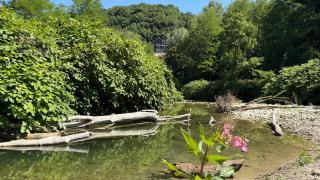 River Villa with amazing view + Jacuzzi, Garden, Forest access - 5