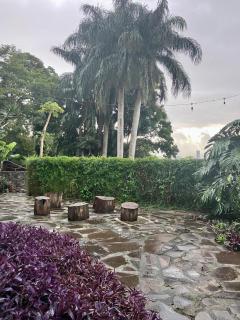 Casa Roraima - 6