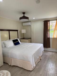 Fig at Ti Kabann, 2BR Ground-Floor stay with Mountain View - 3