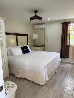 Fig at Ti Kabann, 2BR Ground-Floor stay with Mountain View - 1