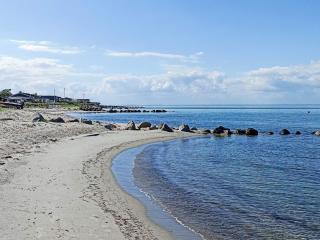 4 star holiday home in Otterup - 1