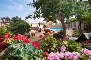 Pool & Garden Apartment Bakija 2 - Happy Rentals - 8