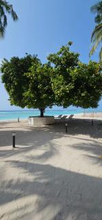 Arcadia Resorts Agatti Island Lakshadweep - 6