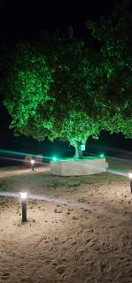 Arcadia Resorts Agatti Island Lakshadweep - 3