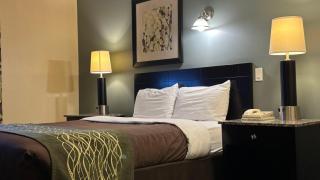 Lacombe Motor Inn - 9