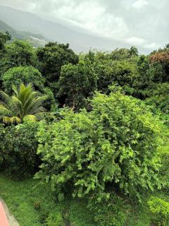 Morne Fortune Getaway - 3