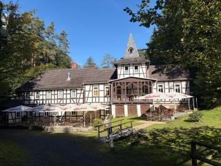 Weihertalmühle Waldgasthaus & Pension - 0