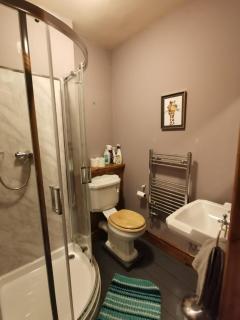 Ty Bryn Adda - Historic 19th century country house - 2