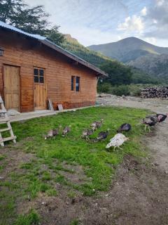 Tres Cerros - Cabin 1 - 3