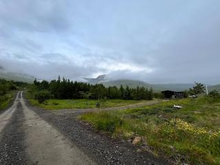 Private Cabin Suite in Icelandic Nature - 5