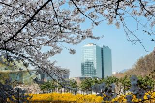 DoubleTree By Hilton Seoul Pangyo - 2