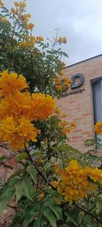 Casa SD Hostal - 4