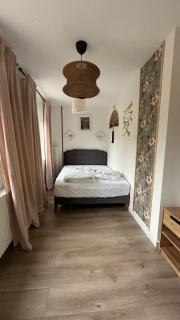 Apartment im Grünen -Garden - Chemnitz - 3