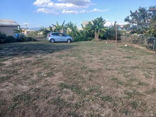 Phoenix Meadow's - 2