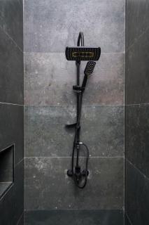 Bright studio ginger 1016 GX - 4