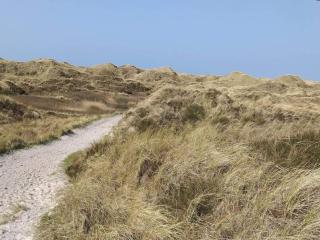 8 person holiday home in Blåvand - 6