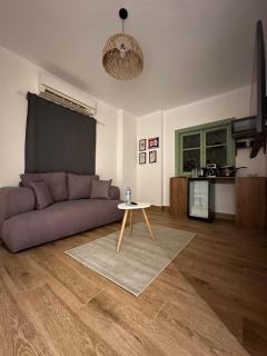 Cozy apartment in zamalek 1019 - 8