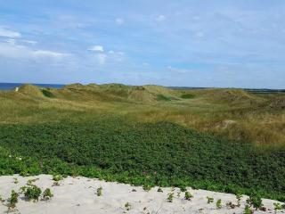 8 person holiday home in Ringkøbing - 6