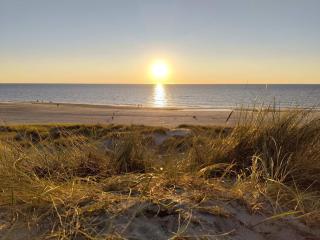Dune Escape with Games and WiFi-By Traum - 2