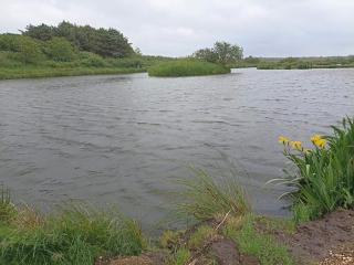 4 person holiday home in Bøvlingbjerg - 5