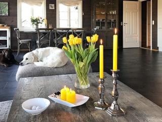15 person holiday home in Treungen - 6