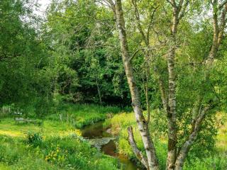 Tranquil Riverside Retreat - 5