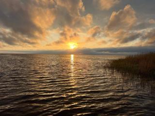 4 person holiday home in Skjern - 1