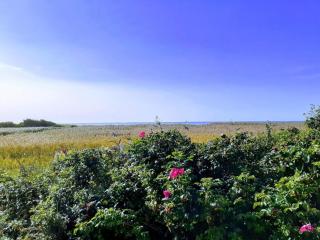 4 person holiday home in Skjern - 8