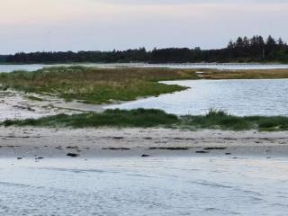 8 person holiday home in Hadsund - 6