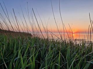 Tranquil Oasis in Henne Strand-By Traum - 3