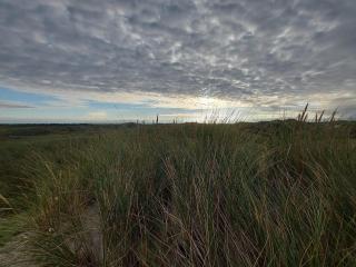 Seaside Serenity in Hvide Sande-By Traum - 9