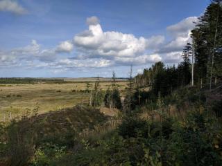 10 person holiday home in Thisted - 4