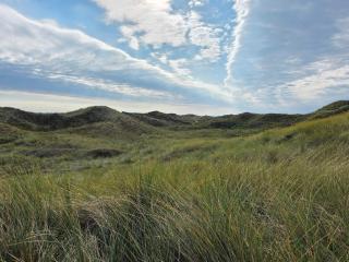 14 person holiday home in Ulfborg - 9