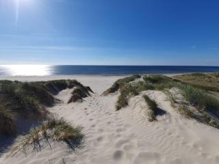 4 person holiday home in Nørre Nebel - 4