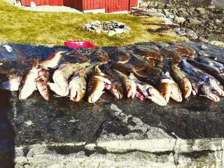 8 person holiday home in Austefjorden - 1
