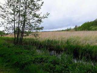 6 person holiday home in Ebeltoft - 4