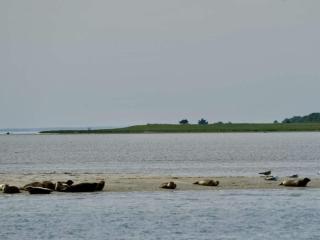 6 person holiday home in Hadsund - 1