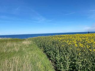 7 person holiday home in Grenaa - 1