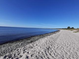 Seaside Retreat-By Traum - 2