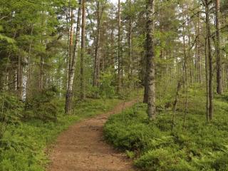 5 person holiday home in Tenhult Jönköping - 7