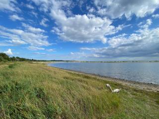 8 person holiday home in Knebel - 5