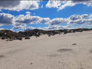 4 star holiday home in Henne - 6