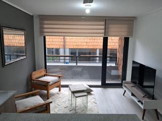 Moderno departamento Nuevo equipado en Puerto Varas - 0