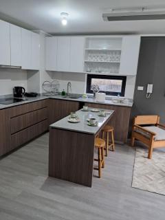 Moderno departamento Nuevo equipado en Puerto Varas - 4